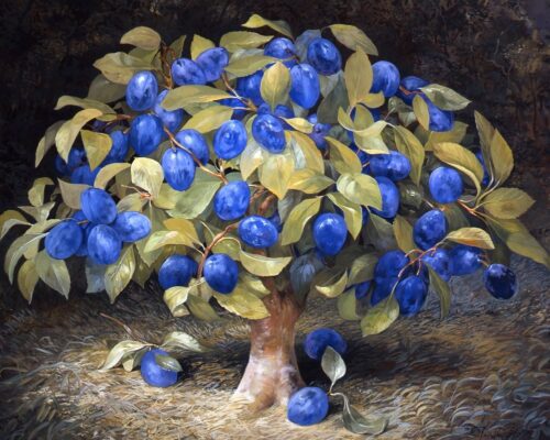 Fruit Tree Triptych - Plum Tree